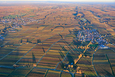 Photographie aérienne de Vue du village depuis l'ouest, niché entre des vignobles aux teintes automnales, dans la lumière du soir. à Roschbach dans le département Rhénanie-Palatinat, Allemagne