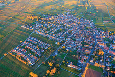 Vue aérienne de Vue du village au milieu des vignobles aux couleurs d'automne, depuis le sud-ouest, à la lumière du soir. à le quartier Nußdorf in Landau in der Pfalz dans le département Rhénanie-Palatinat, Allemagne