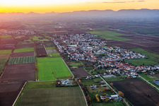 Vue aérienne de De l'est à le quartier Niederlustadt in Lustadt dans le département Rhénanie-Palatinat, Allemagne