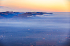 Vue aérienne de Collines de la forêt du Palatinat, entre la vallée de Dernbach et la route des vins, avec des nuages bas. à Frankweiler dans le département Rhénanie-Palatinat, Allemagne