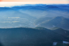 Vue aérienne de Forêt du Palatinat dans la brume à Bruchweiler-Bärenbach dans le département Rhénanie-Palatinat, Allemagne