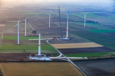 Vue aérienne de Grue géante pour la modernisation du parc éolien Minfeld. JUWI remplace quatre anciennes turbines (GE 1.5) de 2004 par deux nouvelles turbines Vestas V162 modernes, chacune d'une puissance de six MW. à Minfeld dans le département Rhénanie-Palatinat, Allemagne