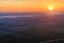 Vue aérienne de Brouillard au sol dans le pâturage au coucher du soleil à Freckenfeld dans le département Rhénanie-Palatinat, Allemagne