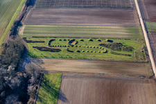 Vue aérienne de Biotope avec de jeunes arbres à Herxheim bei Landau dans le département Rhénanie-Palatinat, Allemagne