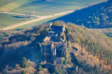 Vue aérienne de Ruines du château de Madenburg vues du nord à Eschbach dans le département Rhénanie-Palatinat, Allemagne