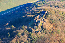 Vue aérienne de Ruines du château de Madenburg vues du nord à Eschbach dans le département Rhénanie-Palatinat, Allemagne