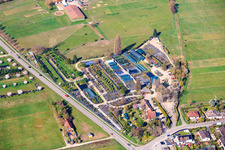 Pépinière Toskanapark à le quartier Speyerdorf in Neustadt an der Weinstraße dans le département Rhénanie-Palatinat, Allemagne