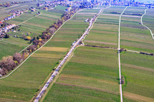 Almond Mile depuis le sud-ouest (Villa Street) à Edenkoben dans le département Rhénanie-Palatinat, Allemagne