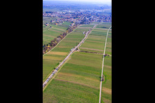 Almond Mile depuis le sud-ouest (Villa Street) à Edenkoben dans le département Rhénanie-Palatinat, Allemagne