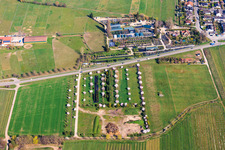 Pépinière Toskanapark à le quartier Speyerdorf in Neustadt an der Weinstraße dans le département Rhénanie-Palatinat, Allemagne
