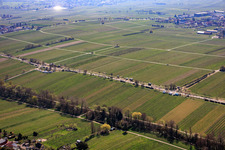 Almond Mile depuis le nord (Villa Street) à Edenkoben dans le département Rhénanie-Palatinat, Allemagne