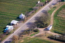 Almond Mile depuis le sud-ouest (Villa Street) à Edenkoben dans le département Rhénanie-Palatinat, Allemagne