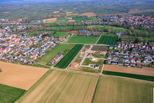 Terrains de construction de maisons individuelles dans le nouveau quartier de développement Nim Niederfeld à le quartier Ingenheim in Billigheim-Ingenheim dans le département Rhénanie-Palatinat, Allemagne