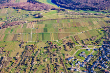 Cabanes de vigneron sur le Neuberg à le quartier Dietlingen in Keltern dans le département Bade-Wurtemberg, Allemagne