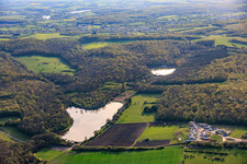 Deux étangs piscicoles en forêt Étang de Diebling et Étang de Metzing à Metzing dans le département Moselle, France