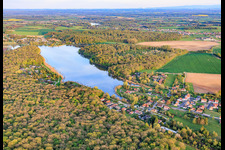 Etang des marais en forêt à Rémering-lès-Puttelange dans le département Moselle, France