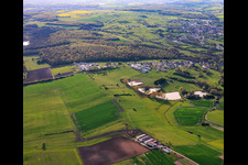 Quatre étangs rue des Étangs à Metzing dans le département Moselle, France