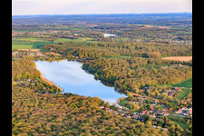 Etang des marais en forêt à Rémering-lès-Puttelange dans le département Moselle, France