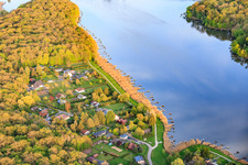 Pontons de pêche dans les roseaux sur la rive de l'Étang des Marais en forêt à Rémering-lès-Puttelange dans le département Moselle, France