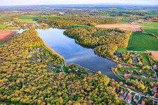 Etang des marais en forêt à Rémering-lès-Puttelange dans le département Moselle, France