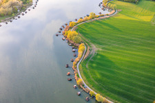 Des promenades en bois bordées de cabanes de pêcheurs longent les rives de l'étang du Welschhof. à Puttelange-aux-Lacs dans le département Moselle, France