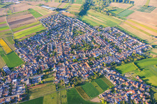 Du sud à le quartier Mechtersheim in Römerberg dans le département Rhénanie-Palatinat, Allemagne