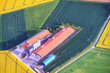 Halls d'élevage de la ferme d'engraissement Hagel à le quartier Messenfeld in Ebensfeld dans le département Bavière, Allemagne