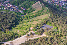 Vignobles de terroir f Hammelburg - Viticulture en Franconie à Hammelburg dans le département Bavière, Allemagne