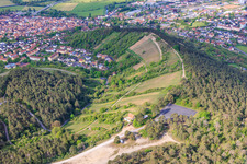 Vignobles de terroir f Hammelburg - Viticulture en Franconie à Hammelburg dans le département Bavière, Allemagne