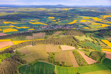 Les vignobles de Müller ! Le domaine viticole et la grange à vin à Hammelburg dans le département Bavière, Allemagne