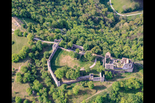 Réserve naturelle « Ruine Homburg » et ruines du château de Homburg près de Gössenheim à Gössenheim dans le département Bavière, Allemagne