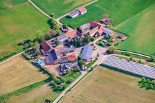 Hof Gut Ruppertzaint agriculture naturelle GmbH & Co. KG à le quartier Gänheim in Arnstein dans le département Bavière, Allemagne