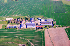 Ferme Sorga à Neustadt an der Orla dans le département Thuringe, Allemagne