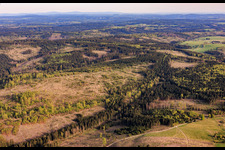 Ancienne frontière interallemande entre la Bavière et la Thuringe, les zones forestières de Thuringe étant gravement endommagées par les scolytes à Lehesten dans le département Thuringe, Allemagne