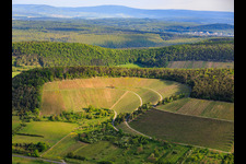 Vignobles entre vallée et forêt, exposés au sud à Ramsthal dans le département Bavière, Allemagne