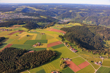 Des fermes déplacées sur le plateau depuis le nord à Schramberg dans le département Bade-Wurtemberg, Allemagne