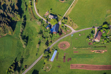 Vogtsbauer (Forêt-Noire) avec l'aventure de randonnée à dos d'âne à le quartier Diesenhof in Lauterbach dans le département Bade-Wurtemberg, Allemagne