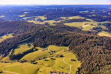 Forêt de mousses du nord à le quartier Diesenhof in Lauterbach dans le département Bade-Wurtemberg, Allemagne