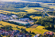 Plateforme Fresh Southwest GmbH à le quartier Minderslachen in Kandel dans le département Rhénanie-Palatinat, Allemagne