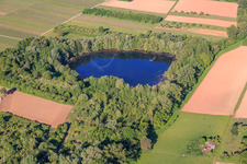Étang biotope, ancienne carrière d'argile à Göcklingen dans le département Rhénanie-Palatinat, Allemagne