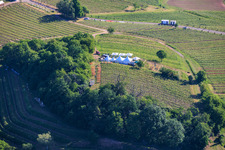 Fête du vin au printemps, à la Pentecôte, dans les vignes. Grande présentation de vins au cœur du vignoble « Kastanienbusch » (Plus beau festival des vins du Palatinat 2012). à Birkweiler dans le département Rhénanie-Palatinat, Allemagne