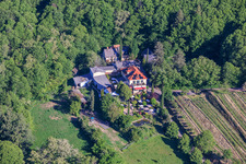 Domaine viticole Sankt Annaberg avec jardin en bordure de forêt à Burrweiler dans le département Rhénanie-Palatinat, Allemagne