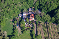 Domaine viticole Sankt Annaberg avec jardin en bordure de forêt à Burrweiler dans le département Rhénanie-Palatinat, Allemagne