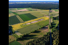 Création de nouvelles zones de compensation biotopique pour le déplacement du vanneau huppé suite à l'implantation du parc éolien sur la Maxstrasse. à Hatzenbühl dans le département Rhénanie-Palatinat, Allemagne