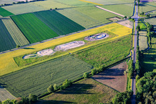Création de nouvelles zones de compensation biotopique pour le déplacement du vanneau huppé suite à l'implantation du parc éolien sur la Maxstrasse. à Hatzenbühl dans le département Rhénanie-Palatinat, Allemagne