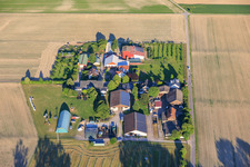 Jägerhof et Burgerhof à Neupotz dans le département Rhénanie-Palatinat, Allemagne