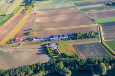 Jesterhof Agriculture : culture de fruits et légumes, magasin à la ferme, distillerie, ancienne briqueterie et parc industriel Rheinfeldstraße avec Celsa Messgeräte GmbH et Solisation GmbH à le quartier Mechtersheim in Römerberg dans le département Rhénanie-Palatinat, Allemagne