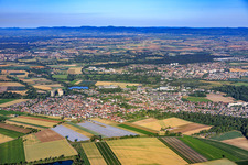 De l'est à Neuhofen dans le département Rhénanie-Palatinat, Allemagne