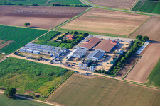 Cultures agricoles en conteneurs résidentiels et serres maraîchères - Dieter Stubenbordt à Zeiskam dans le département Rhénanie-Palatinat, Allemagne