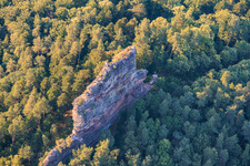 Escalade à Asselstein à Annweiler am Trifels dans le département Rhénanie-Palatinat, Allemagne